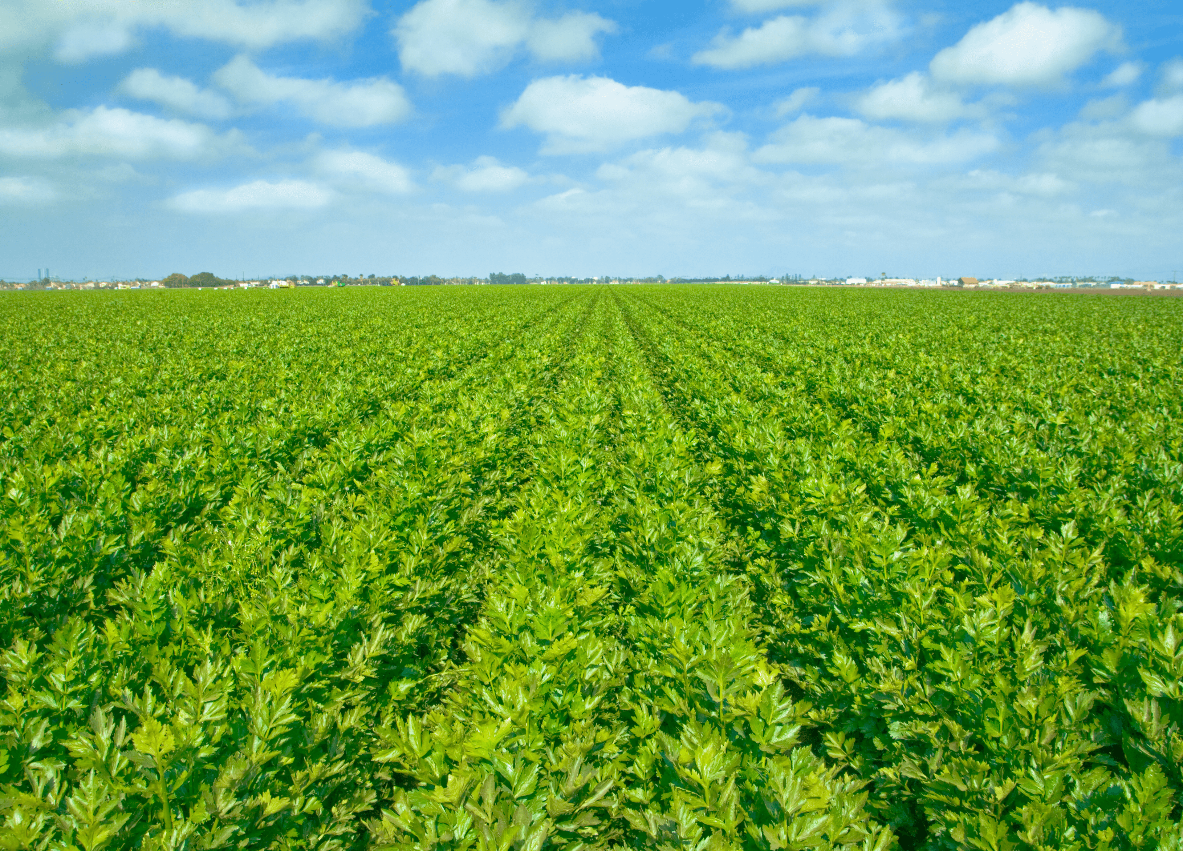 CamaTrust Farms background
