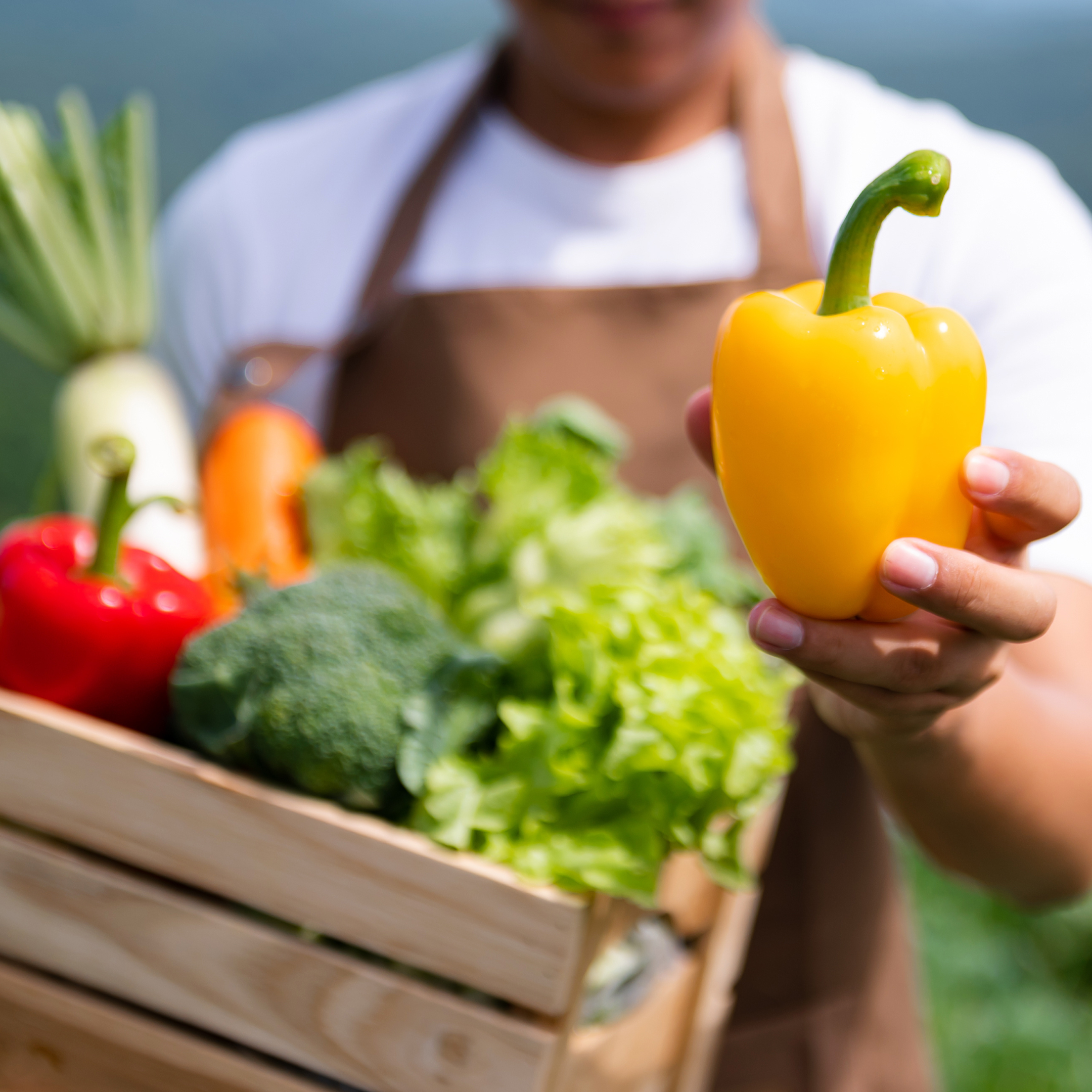 Close-up of fresh organic vegetables