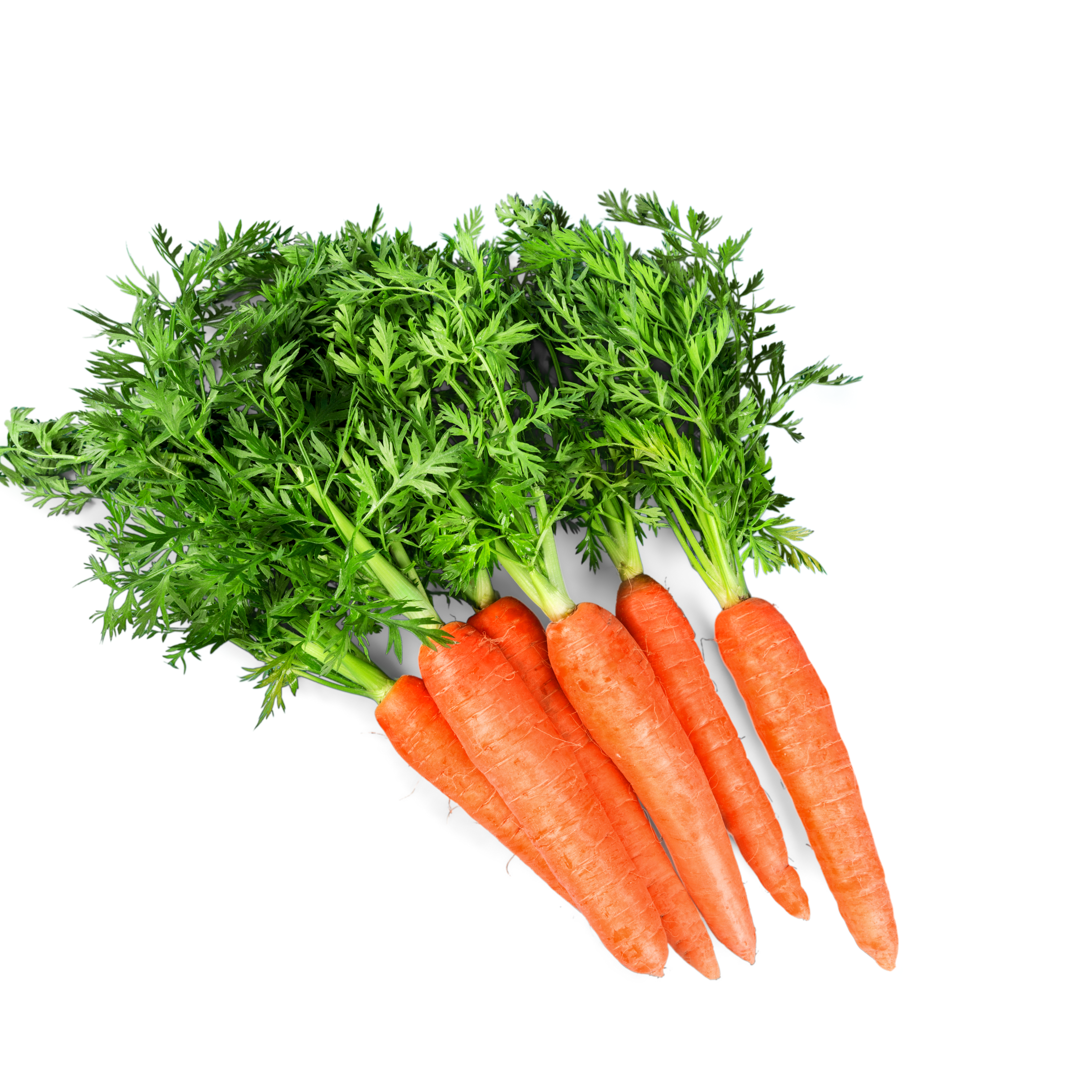 Carrots