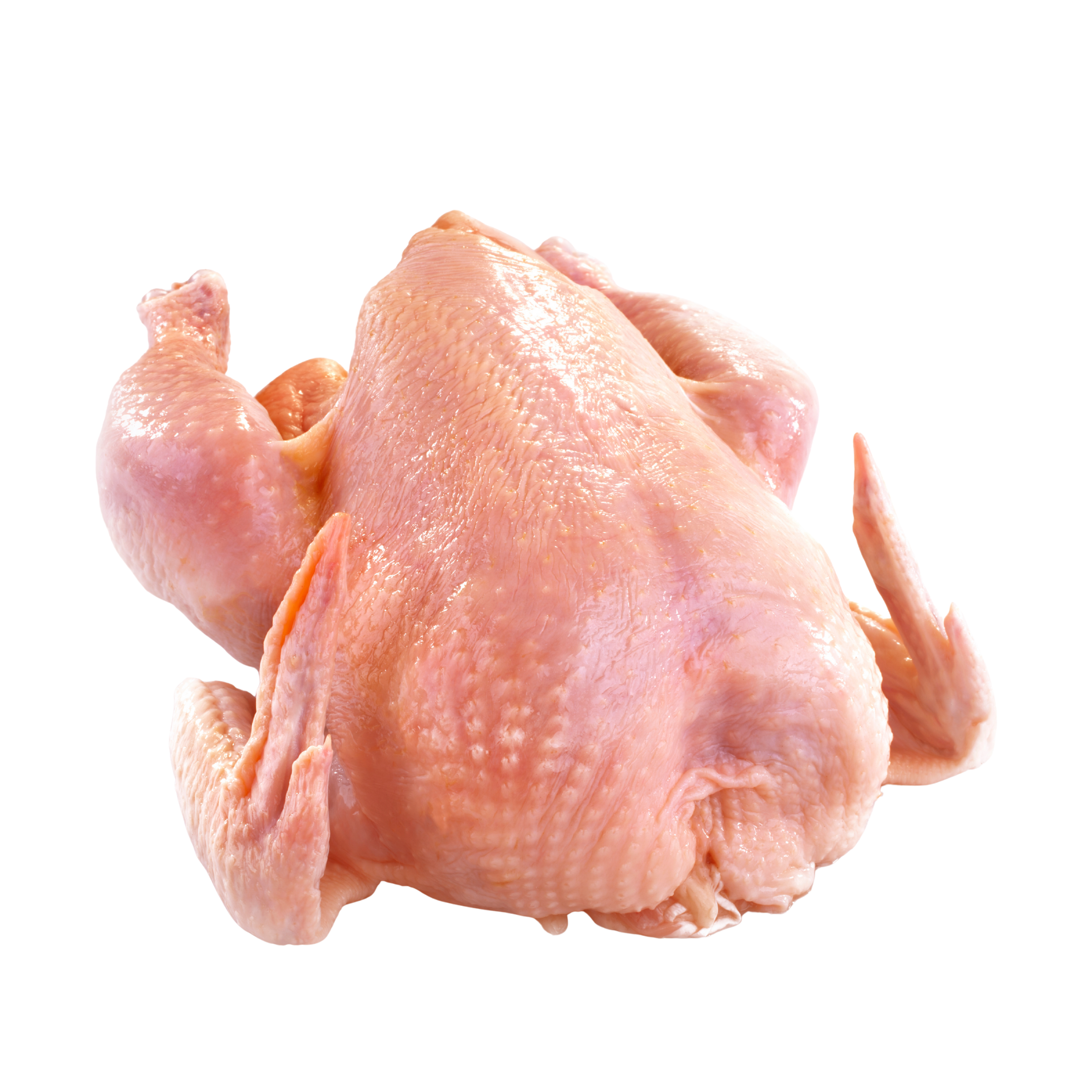 Poultry