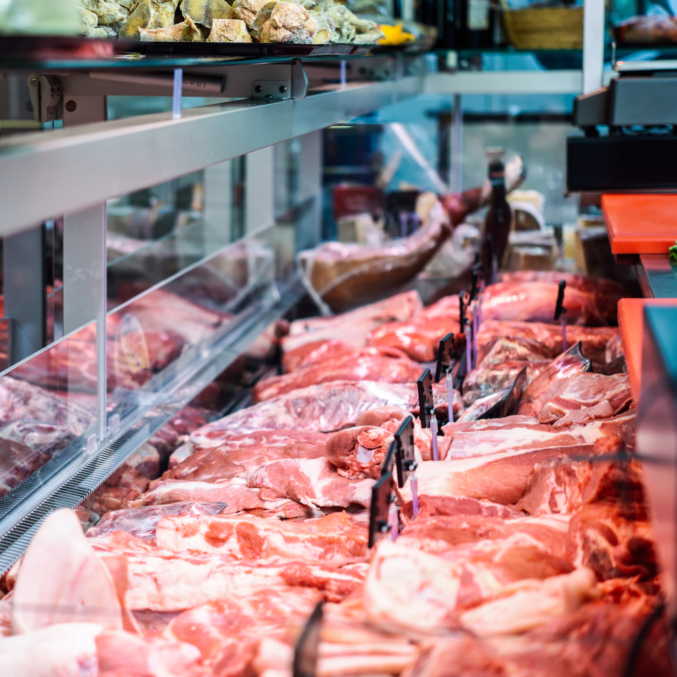 Cold Storage & Processing Facility