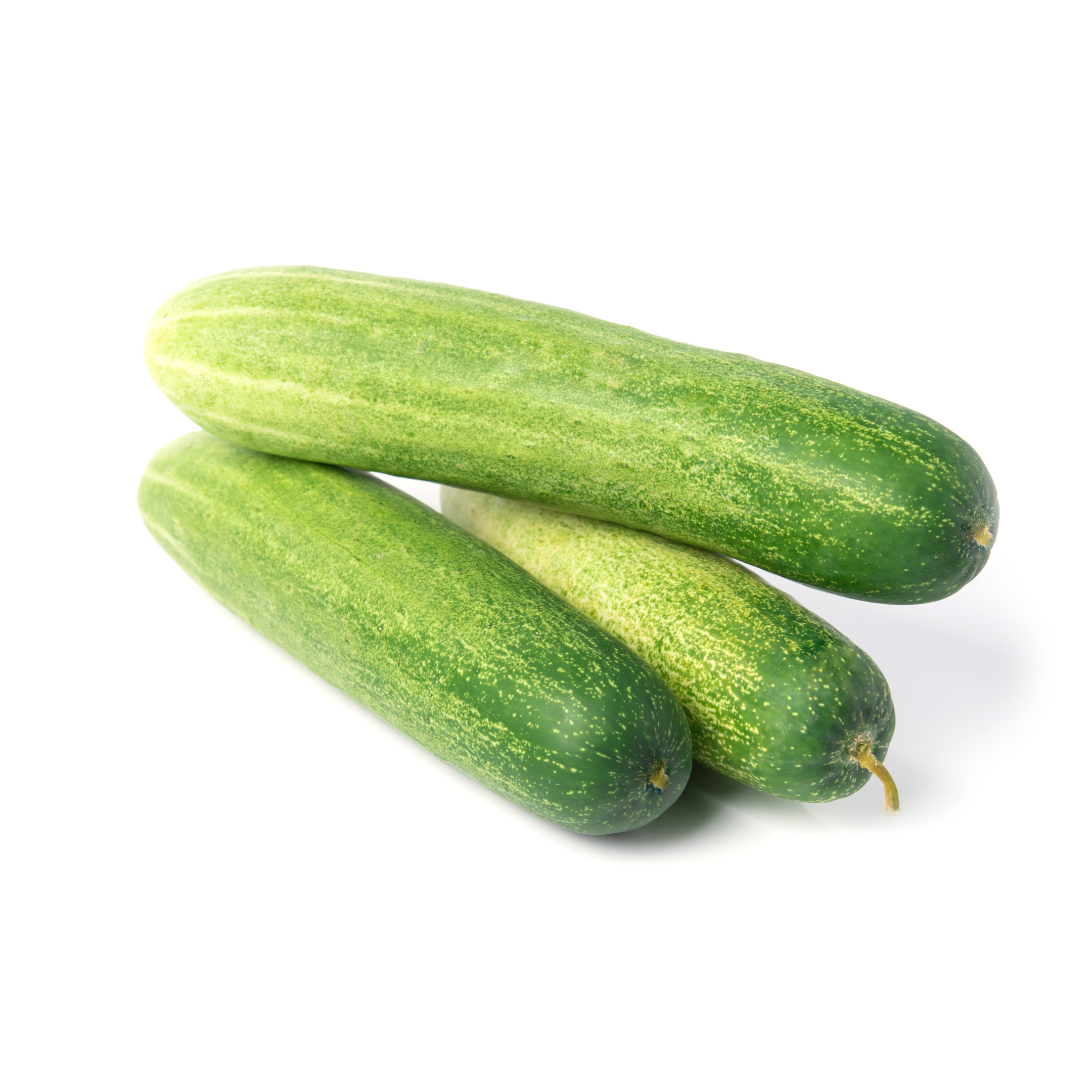 Cucumber
