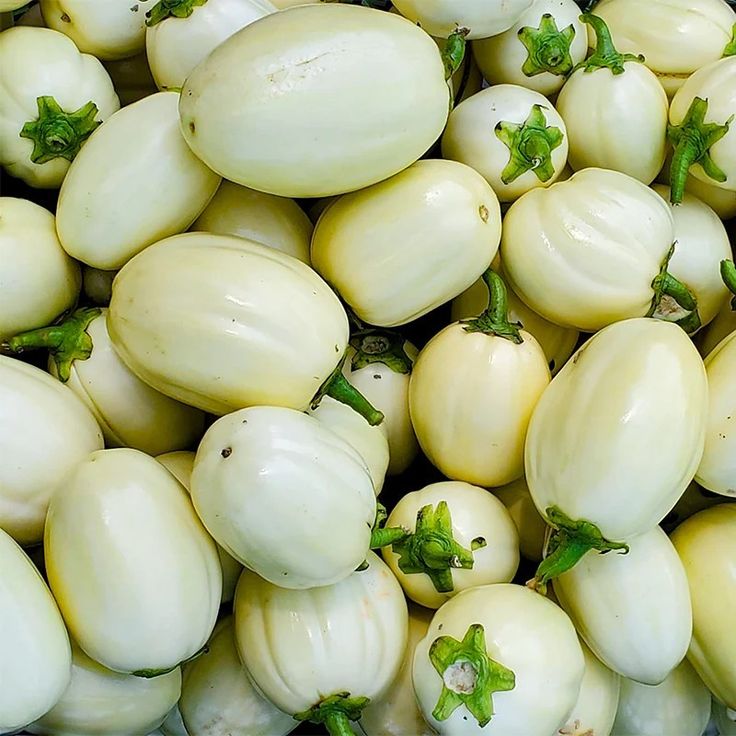 Garden Eggs