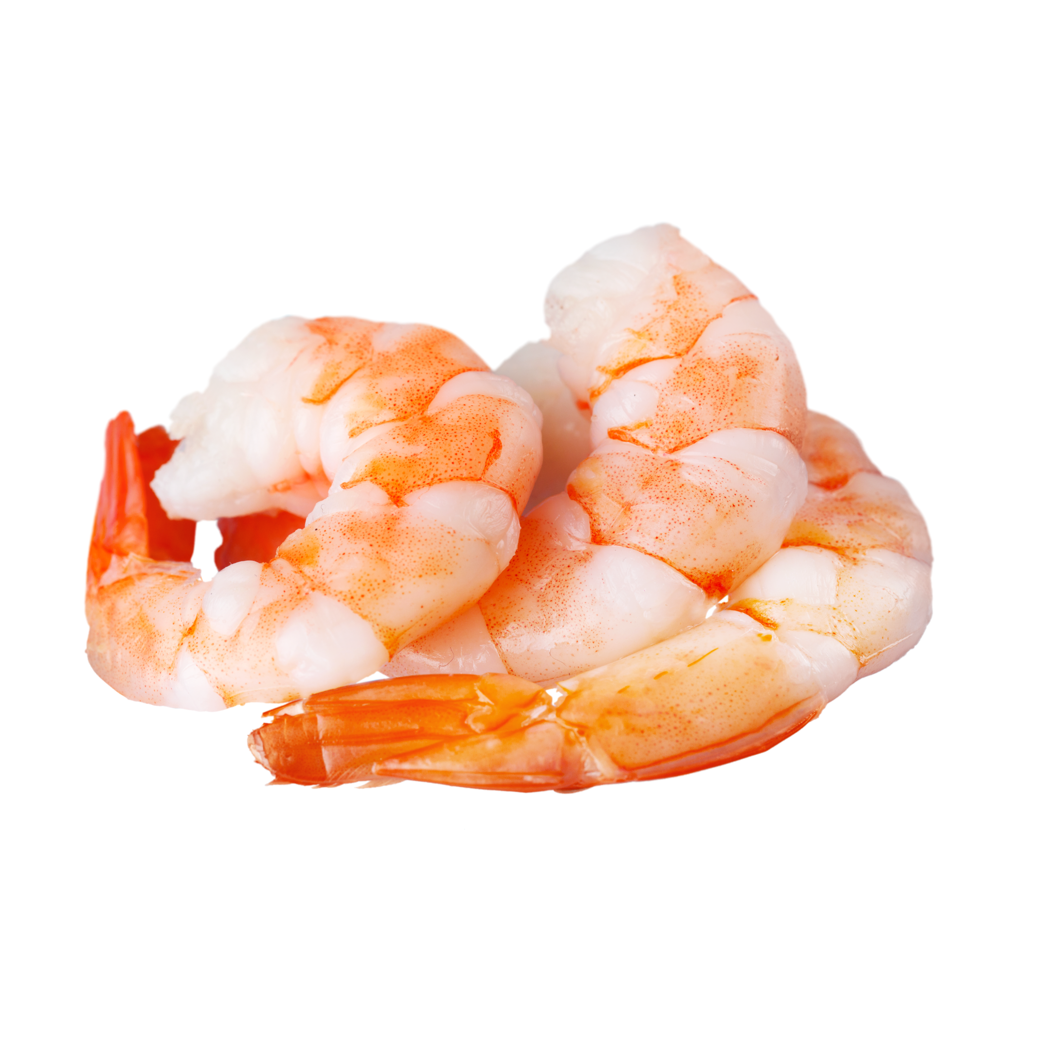 Shrimp